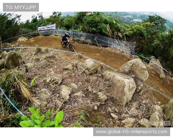 骑士逆风翻盘能力升级！阿特金森赛中调整亮了