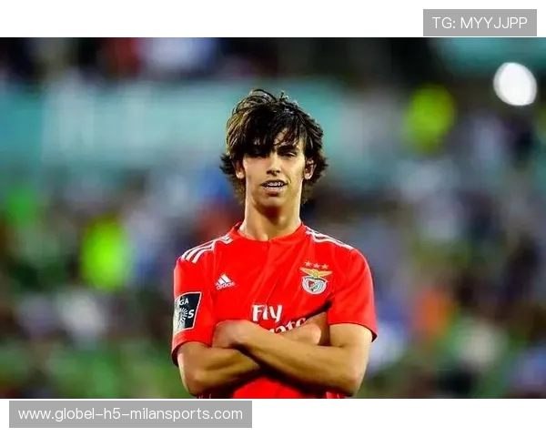 本菲卡完成青训重点提拔