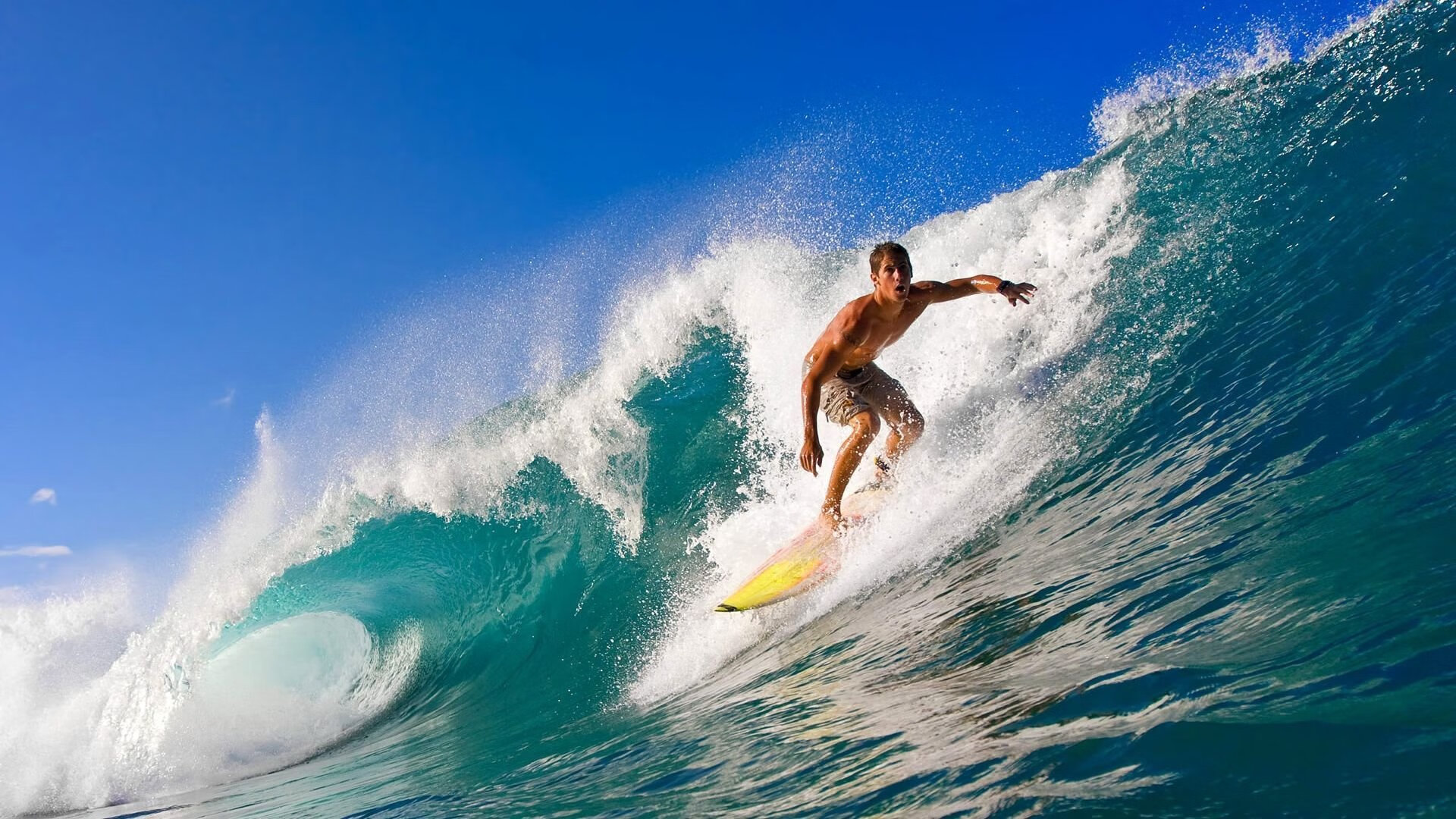 体育场馆智能安防系统设计与实施研究,体育场馆智能化管理