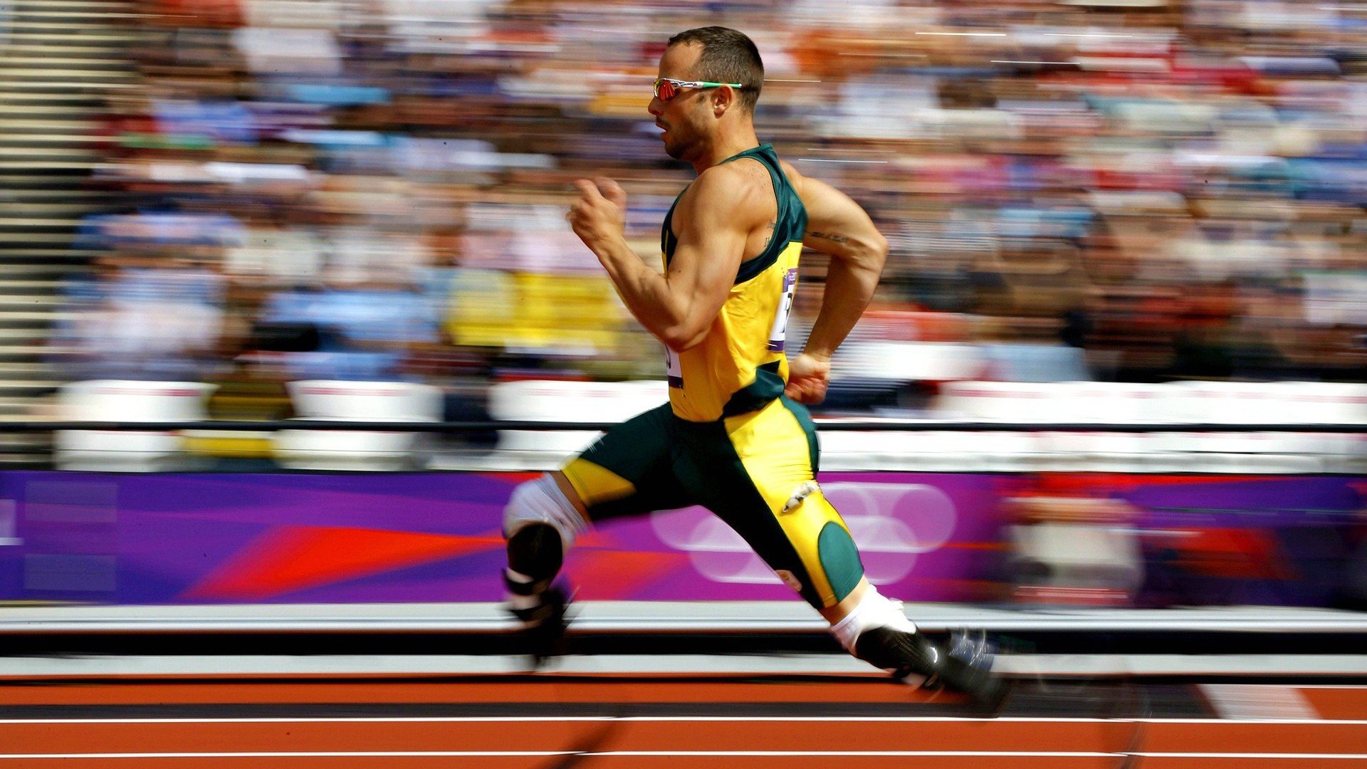 全运会场馆首次引入智能导航机器人，全运会场馆视频